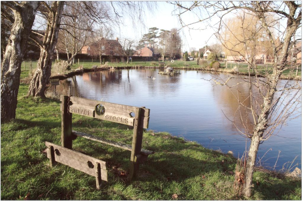 Image of Hankelow Pond